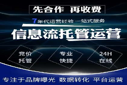 案例解读：SEM代理助力电商销量翻倍