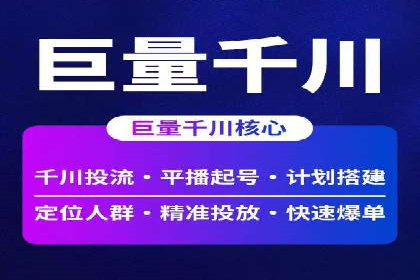 百度竞价排名机制：成功案例与策略探讨